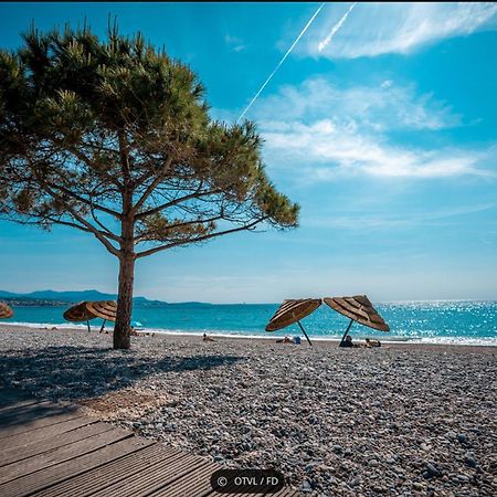 2 Pieces Rez-De-Jardin Dans Maison Avec Piscine Villeneuve-Loubet Exteriér fotografie